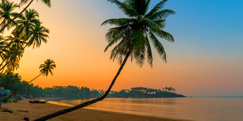 shutterstock_259684526_Palolem_South Goa_GOA.jpg