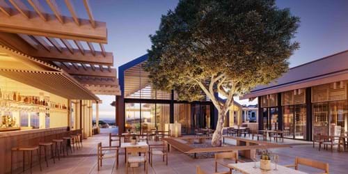 Minthis Resort, Paphos - Olive Tree