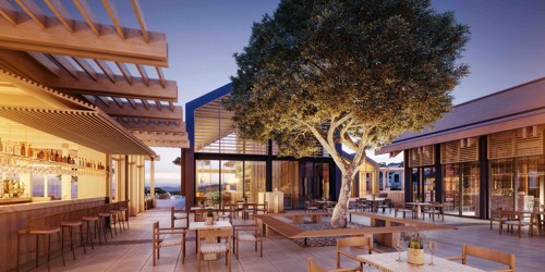 Minthis Resort, Paphos - Olive Tree